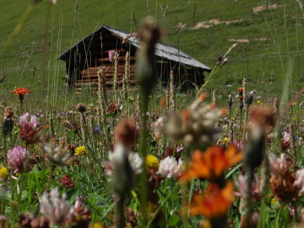 Hotel Silvretta