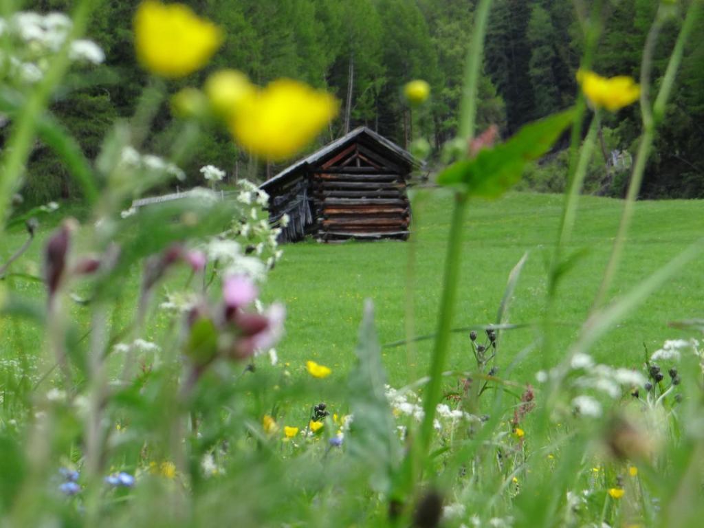 Hotel Silvretta Serfaus